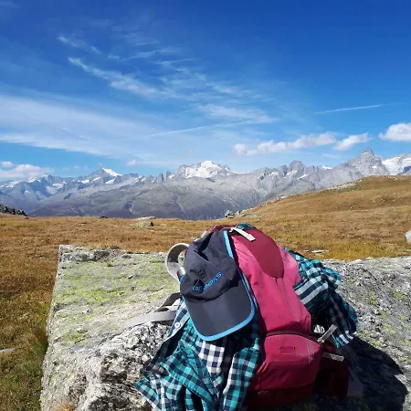 Alpensonne * Reckingen