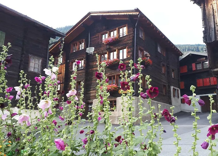 Alpensonne *