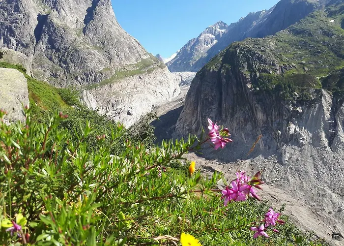 Alpensonne