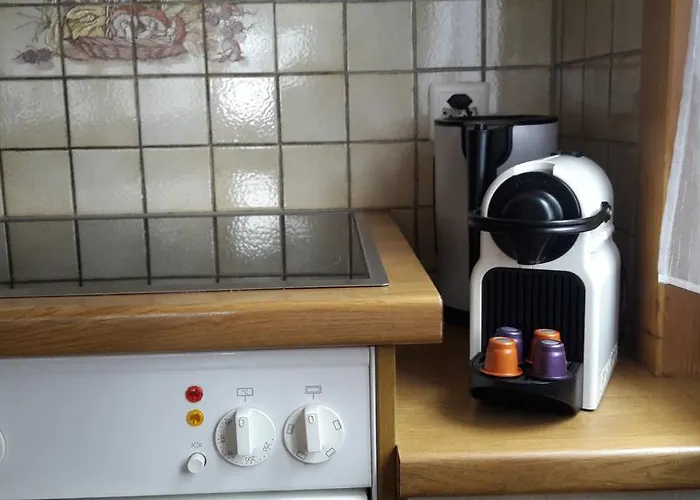 Alpensonne Apartment Reckingen