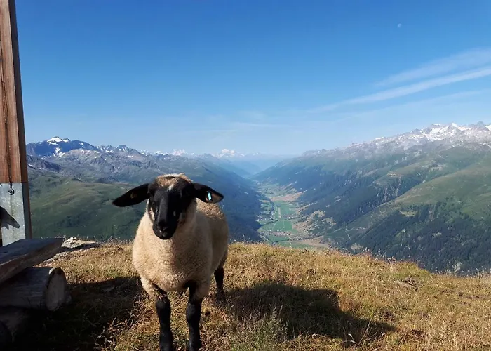 Alpensonne * Reckingen