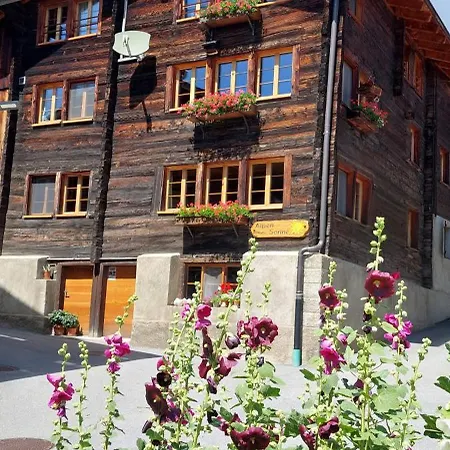 Daire Alpensonne Reckingen