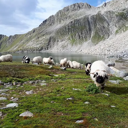 Alpensonne Daire