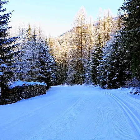 Alpensonne Daire