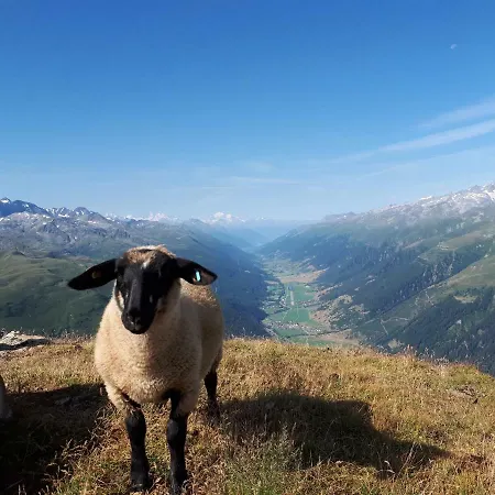 Alpensonne * Reckingen